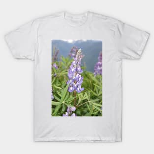 Broadleaf lupine (Lupinus latifolius) T-Shirt